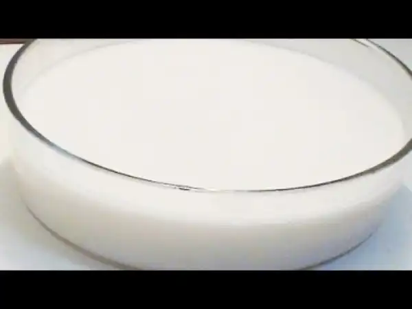 Video: Homemade Coconut Milk(with and without a blender)